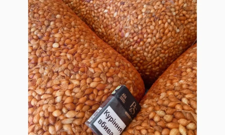 Продаём лук севок на постоянной основе - фото № 12