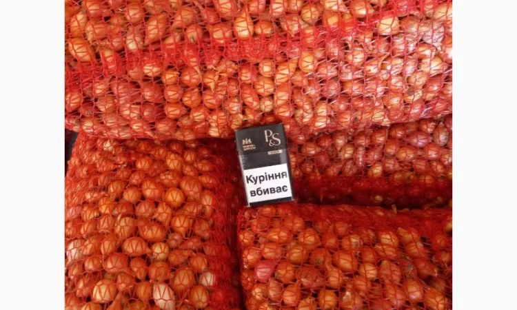 Продаём лук севок на постоянной основе - фото № 8