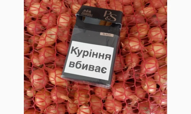 Продаём лук севок на постоянной основе - фото № 2