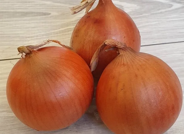 Закупаем лук на постоянной основе - фото № 1