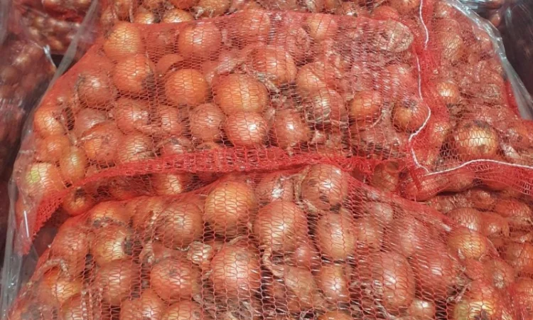 Продається цибуля сорт Саброссо - фото № 2