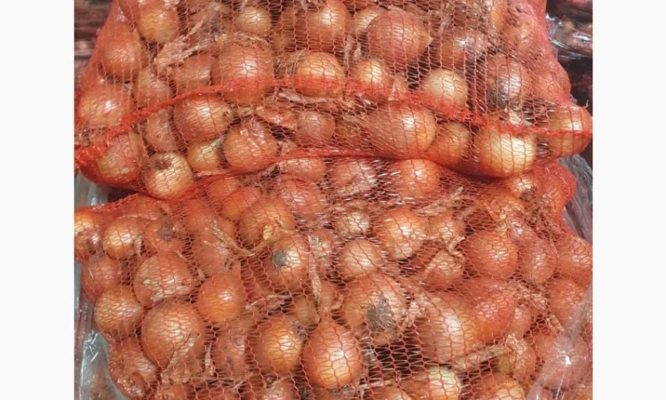 Продається цибуля сорт Саброссо - фото № 4