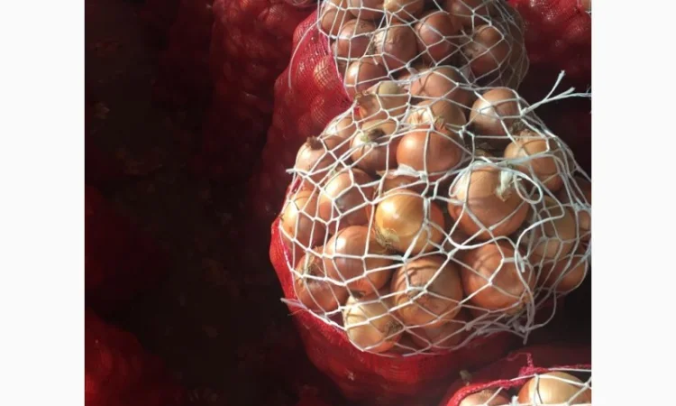 Оптовая продажа качественного лука из Турции - фото № 1