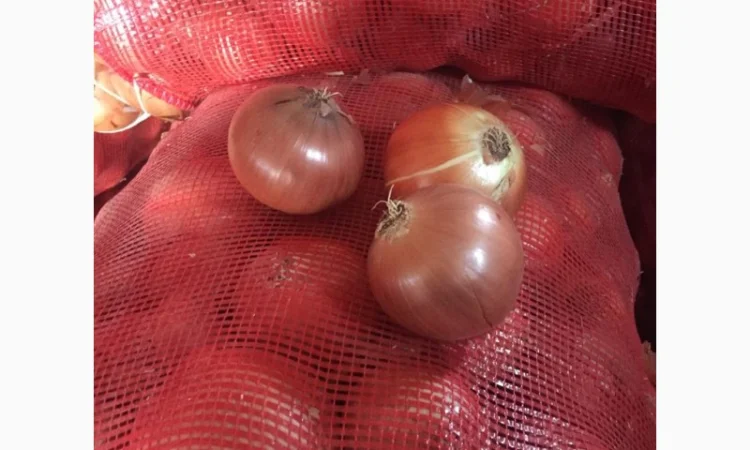 Оптовая продажа качественного лука из Турции - фото № 2