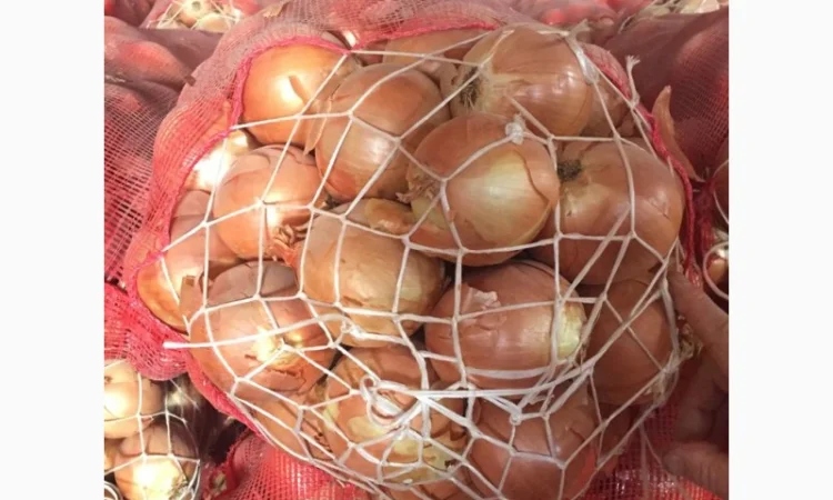 Оптовая продажа качественного лука из Турции - фото № 6