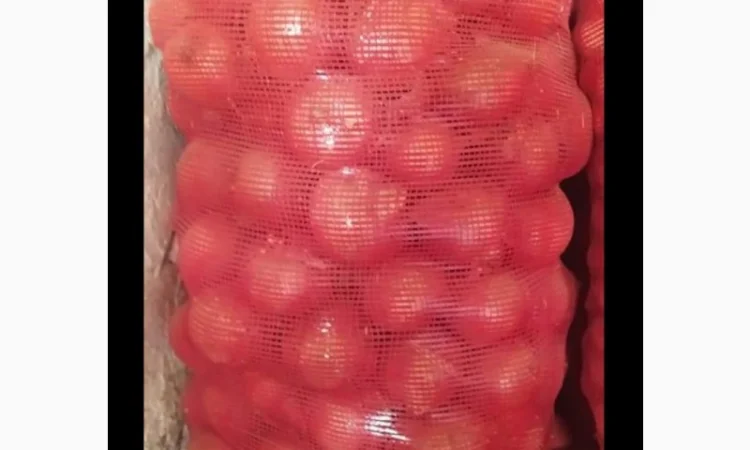 Оптовая продажа качественного лука из Турции - фото № 7