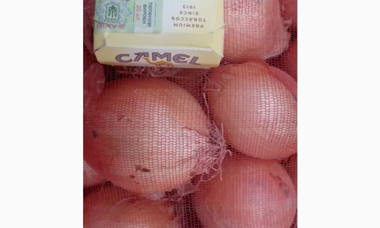 Покупка лука репчатого оптом - фото № 1