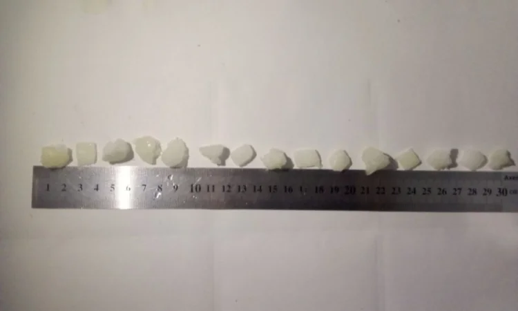 Цибуля кубик с/м - фото № 2