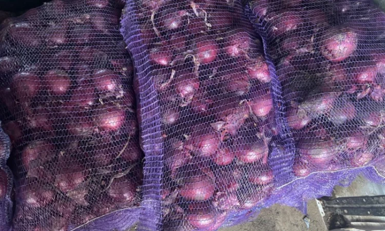 Продам крупный лук марс качество супер - фото № 1