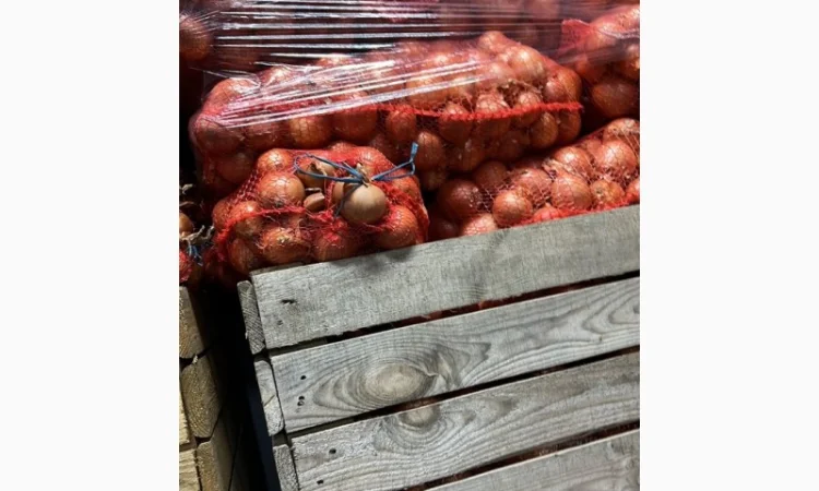 Лук (молдавский) - фото № 1