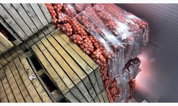 Лук (молдавский) - фото № 3