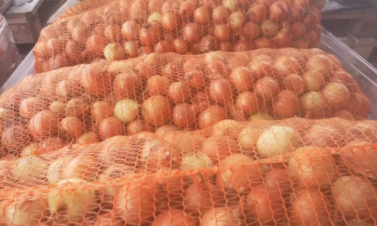 Продаю лук оптом - фото № 2