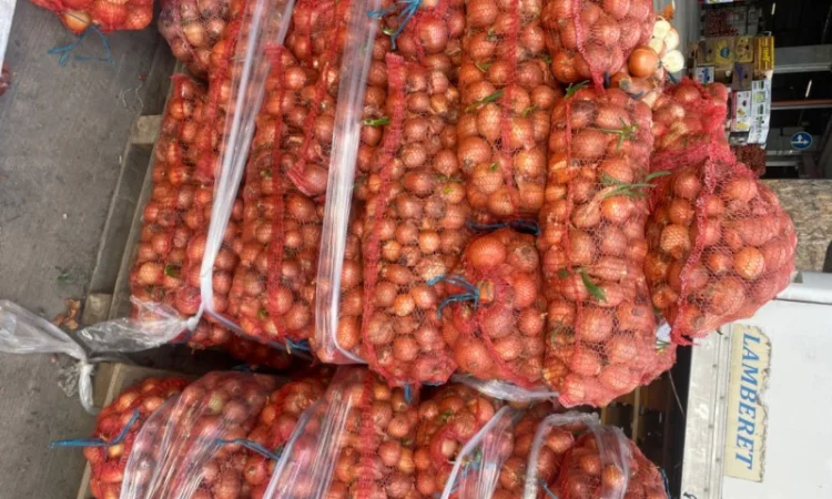 Продаю лук сорт штутгарт - фото № 3