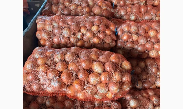 Продам лук желтий - фото № 1