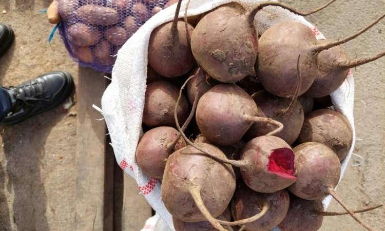 Продам лук желтий - фото № 6