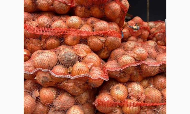 Продам лук (цибулю) от 1 тонны. Нал и б/н. Сорт медуза - фото № 1