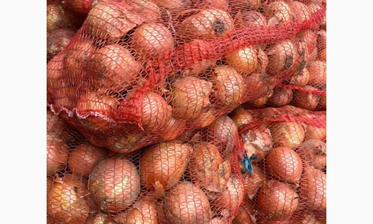 Продам лук (цибулю) от 1 тонны. Нал и б/н. Сорт медуза - фото № 2