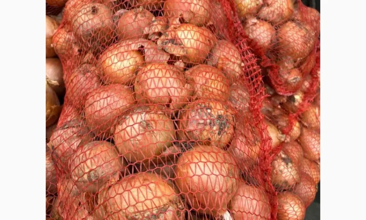 Продам лук (цибулю) от 1 тонны. Нал и б/н. Сорт медуза - фото № 3