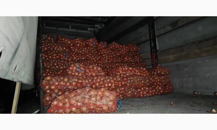 Продам лук Дерек - фото № 1