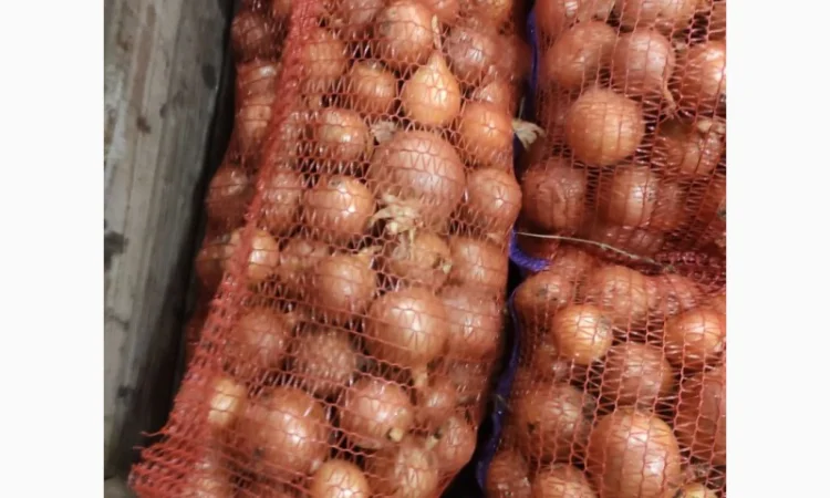 Продам Лук - фото № 3