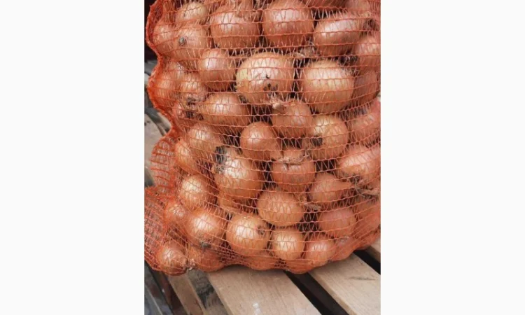 Продам лук желтый Польша размер+ 40 в мешках по 15 кг - фото № 1