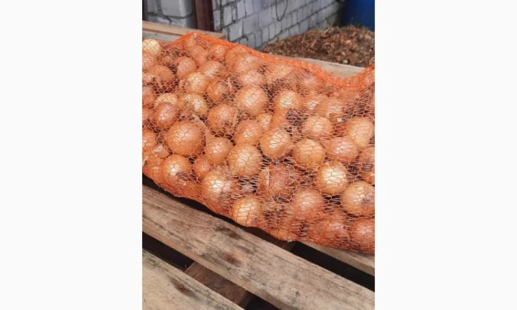 Продам лук желтый Польша размер+ 40 в мешках по 15 кг - фото № 2