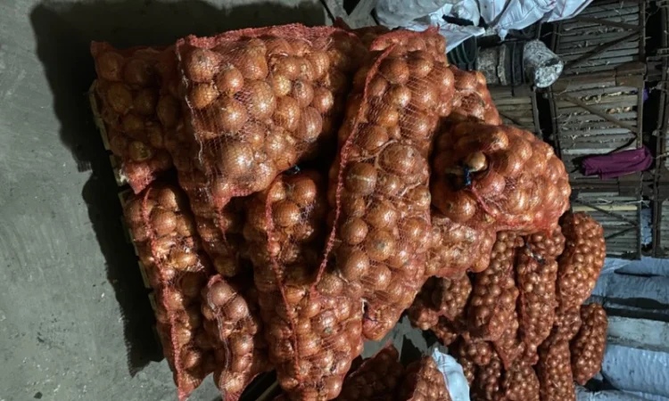 Продам цибулю. Сорт Медуза - фото № 5