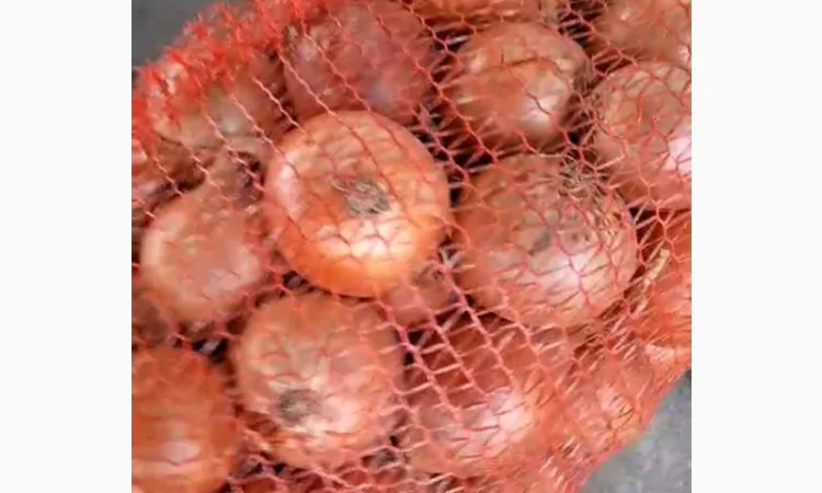 Продам качественный лук - фото № 1