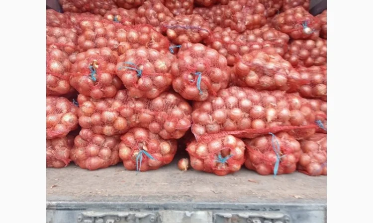 Продам качественный лук - фото № 2