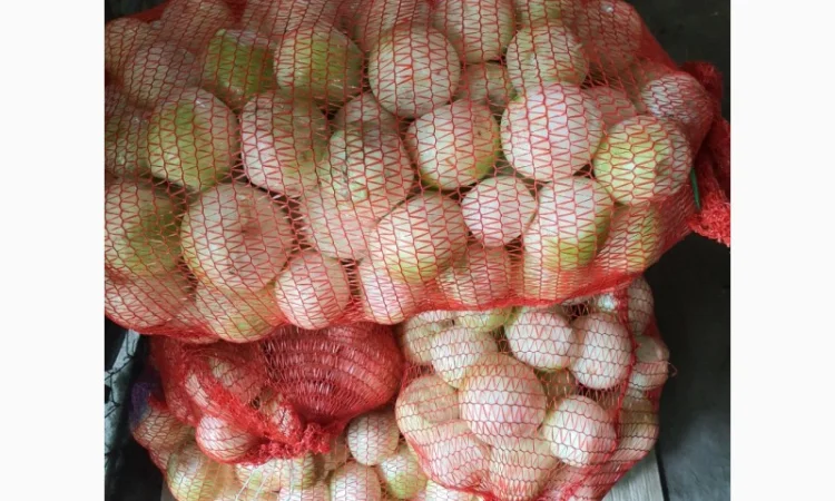 Продам лук репчатый очищенный - фото № 1