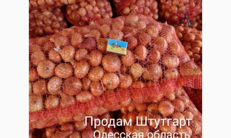 Штутгарт на перо - фото № 1