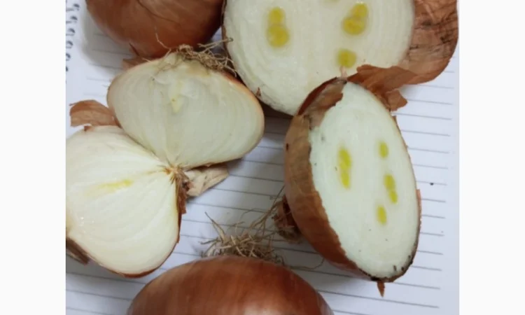 Штутгарт на перо - фото № 3