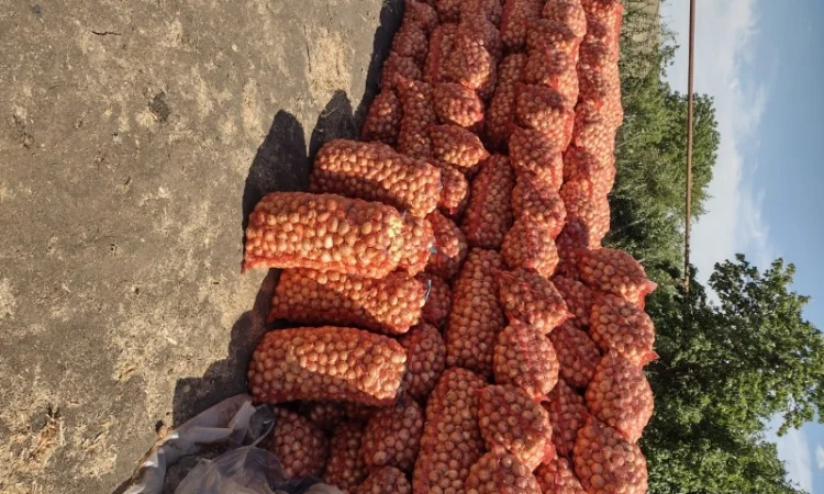 Штутгарт на перо - фото № 4