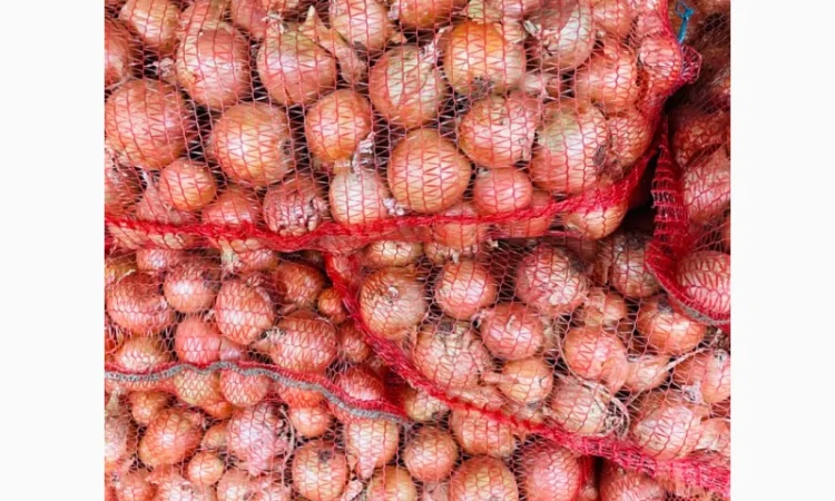 Продам цибулю - фото № 1