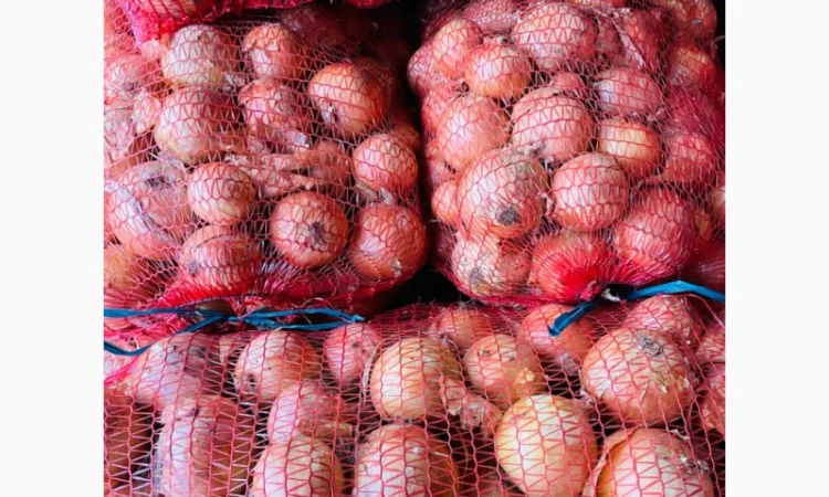 Продам цибулю - фото № 2