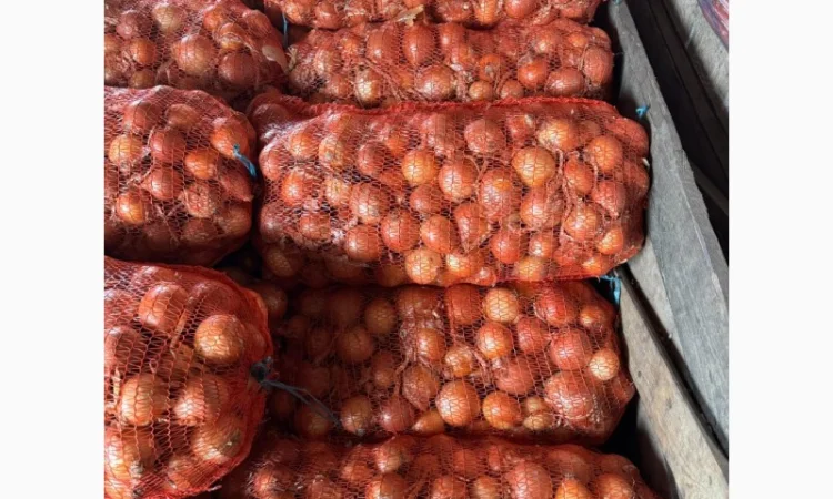 Продам лук желтий - фото № 1