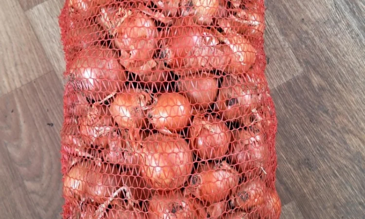 Продам лук - фото № 7