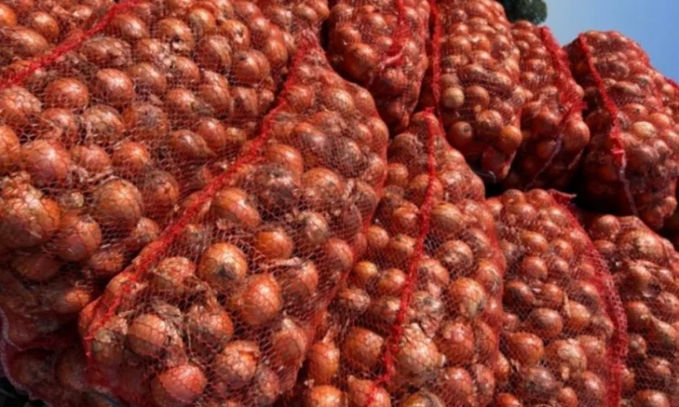 Продам лук - фото № 2