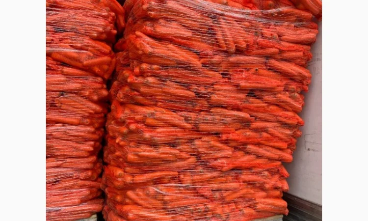 Куплю морковь оптом 1-2 сорт - фото № 4