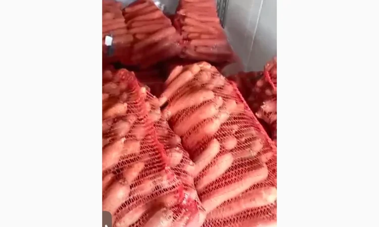 Куплю крупную морковь для шинковки - фото № 1