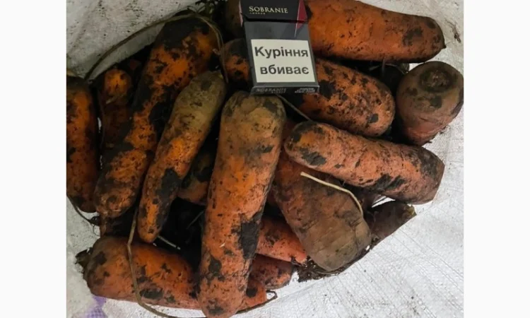 Продаж моркви та буряка від виробника - фото № 4