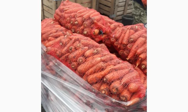 Продаю товарную морковь оптом - фото № 1