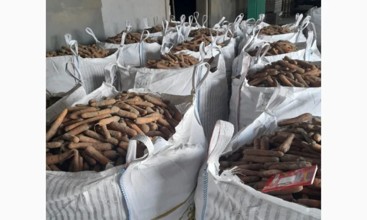 Продаж моркви Биг Баг по 15 кг - фото № 4