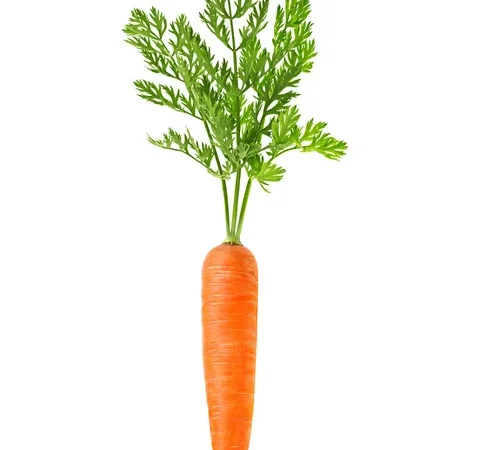 Покупка товарної моркви 2023 року - фото № 1