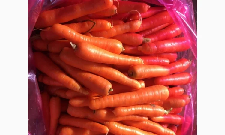 Оптовая продажа МОРКОВЬ качественных - фото № 2