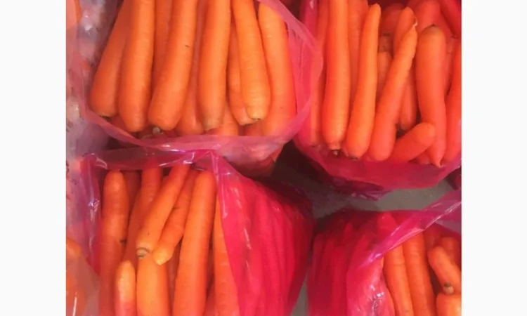 Оптовая продажа МОРКОВЬ качественных - фото № 4