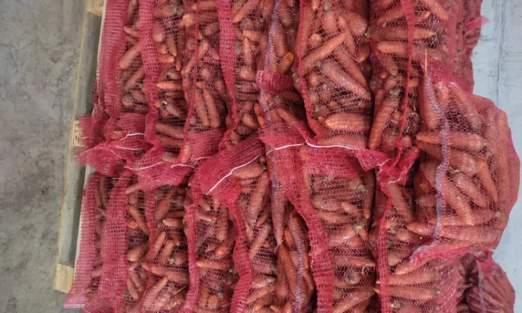 Продам моркву - фото № 2