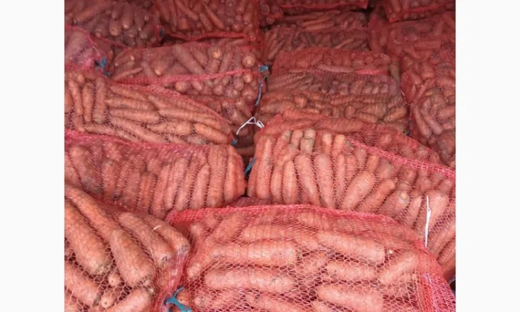 Продам моркву - фото № 3