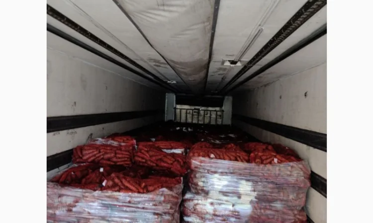 Продам моркву - фото № 4