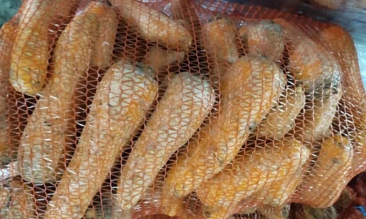 Продам морковь мытую 2 сорт - 10 тонн - фото № 1